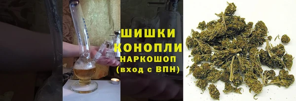 трава Саяногорск
