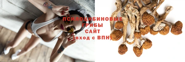 трава Саяногорск
