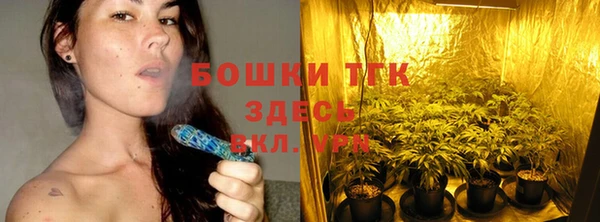 трава Саяногорск