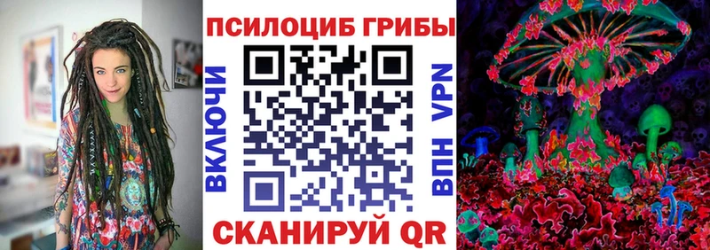 Псилоцибиновые грибы мицелий  мега рабочий сайт  Терек 